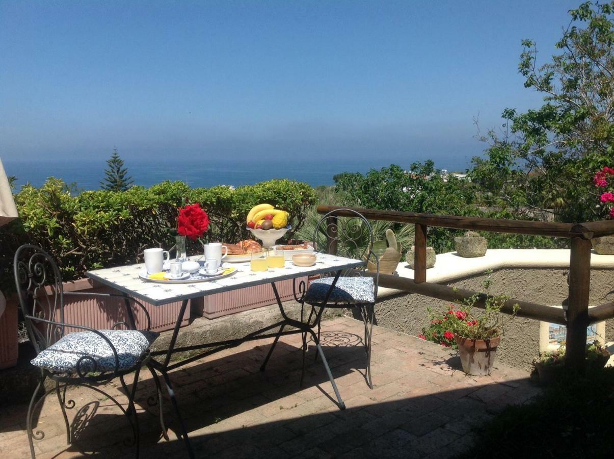 مبيت وإفطار Forio di Ischia La Terrazzina Sul Tramonto المظهر الخارجي الصورة