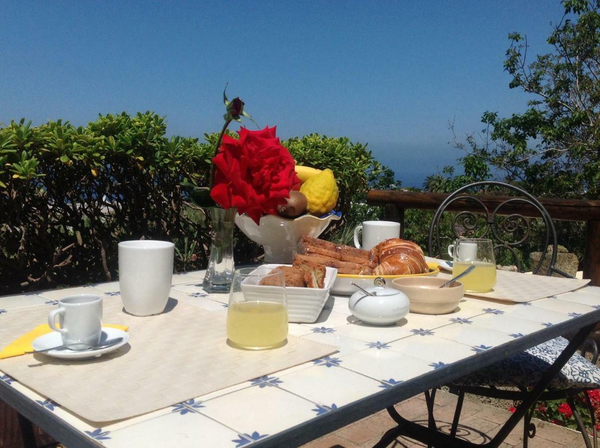 مبيت وإفطار Forio di Ischia La Terrazzina Sul Tramonto المظهر الخارجي الصورة